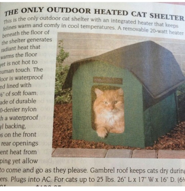 heated cat shelter in sky mall